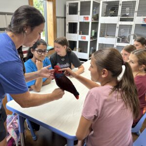 3 MS Career Exploration